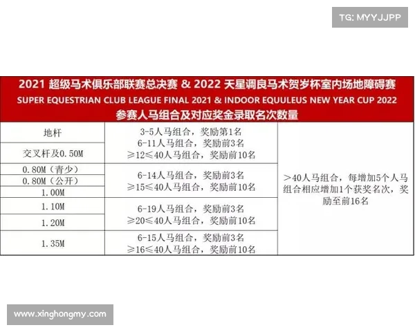 德甲联赛财政健康分析及其对俱乐部可持续发展的影响