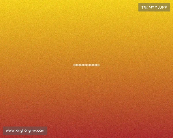 斯图加特:德甲劲旅崛起之路与未来展望 斯图加特:德甲劲旅崛起之路与未来展望