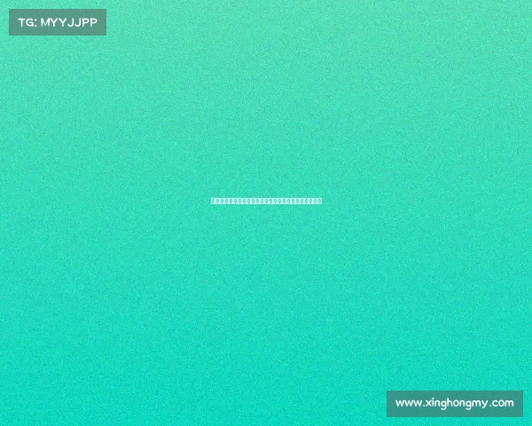 迪马济奥透露米兰已就博尼费斯转会事宜展开接触与谈判