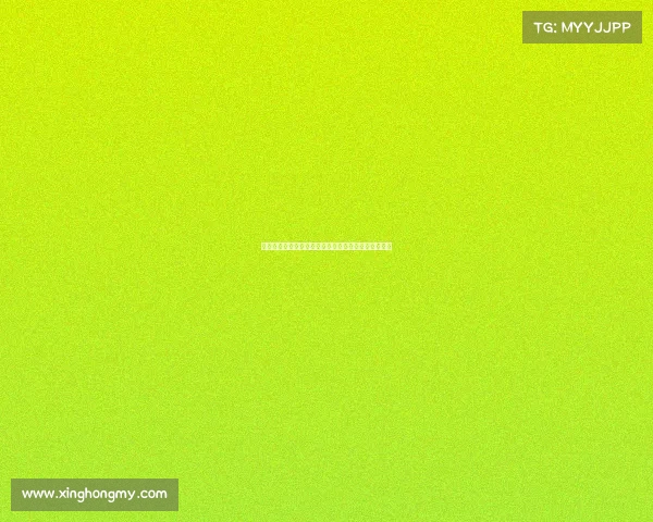 米兰盯上吉拉西力争引进多特顶级中锋以增强锋线实力