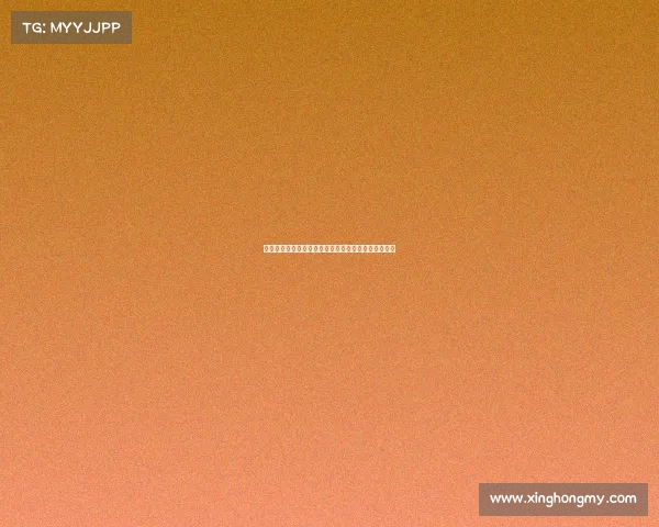 迪马:罗马已向里奥斯提交新报价等待帕尔梅拉斯回应 迪马:罗马已向里奥斯提交新报价等待帕尔梅拉斯回应