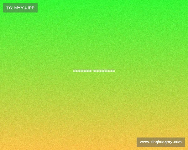 多特蒙德准备报价博纳诺特 并继续与切尔西谈判丘库埃梅卡