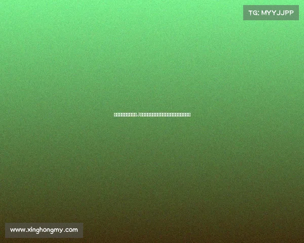 浙江队正式签约日本J联赛金靴安德森洛佩斯加盟助力球队攻势提升 浙江队正式签约日本J联赛金靴安德森洛佩斯加盟助力球队攻势提升