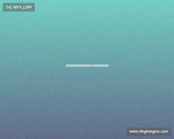 浙江男篮续约吴前刘泽一王仔路三大主力 余嘉豪留洋后新阵容启航