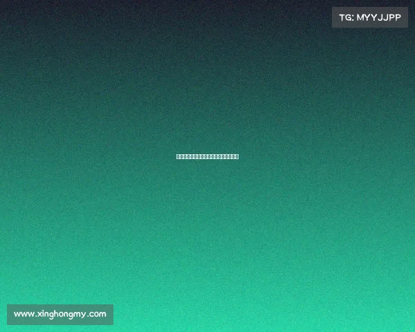 足球盛事：连续两战挑战，挣扎求胜不息